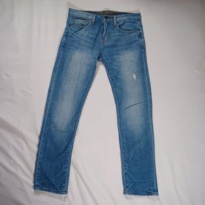 American Eagle Outfitters "Vintage Collection" - lightly distressed - 30x30